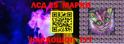 МДПВ Новодвинск