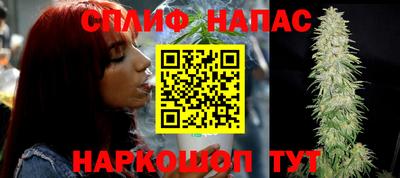 спиды Новозыбков