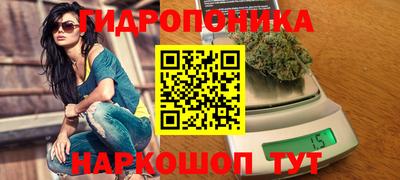 спиды Новозыбков