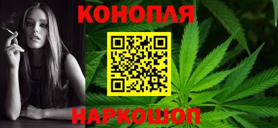 МДПВ Новодвинск