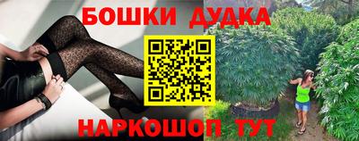 МДПВ Новодвинск